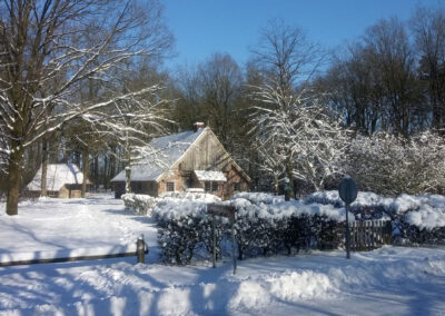 Jan Wesselinkhoes in de sneeuw